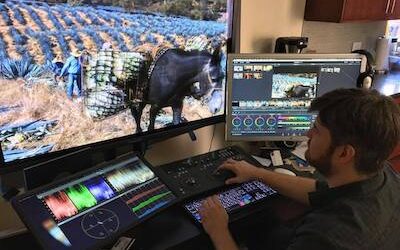 Video Editing