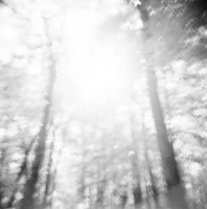 Sustainable Travel: Ethical Adventures Around the Globe