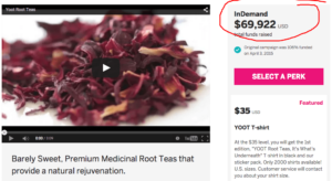 Indiegogo Video Strategy