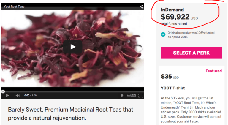 Indiegogo Video Strategy