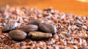 Ableton Live: AI-Driven Beat Mastery & Performance Innovation