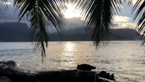 AI Audio Analysis: Build ML-Powered Sound Detection Apps for Real-Time Precision and Innovation