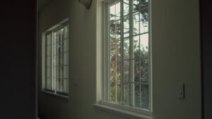 Sunlight filters through two large, white-framed windows, illuminating the interior of a room and revealing a view of trees outside.