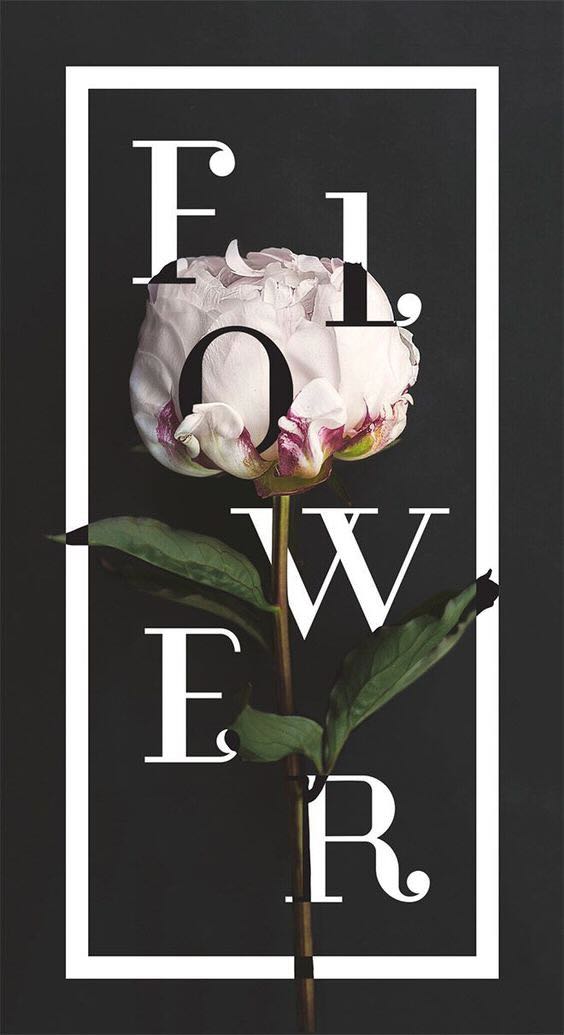 A white peony flower with green leaves is overlaid by the word "FLOWER" in bold, vertical white letters against a dark background.