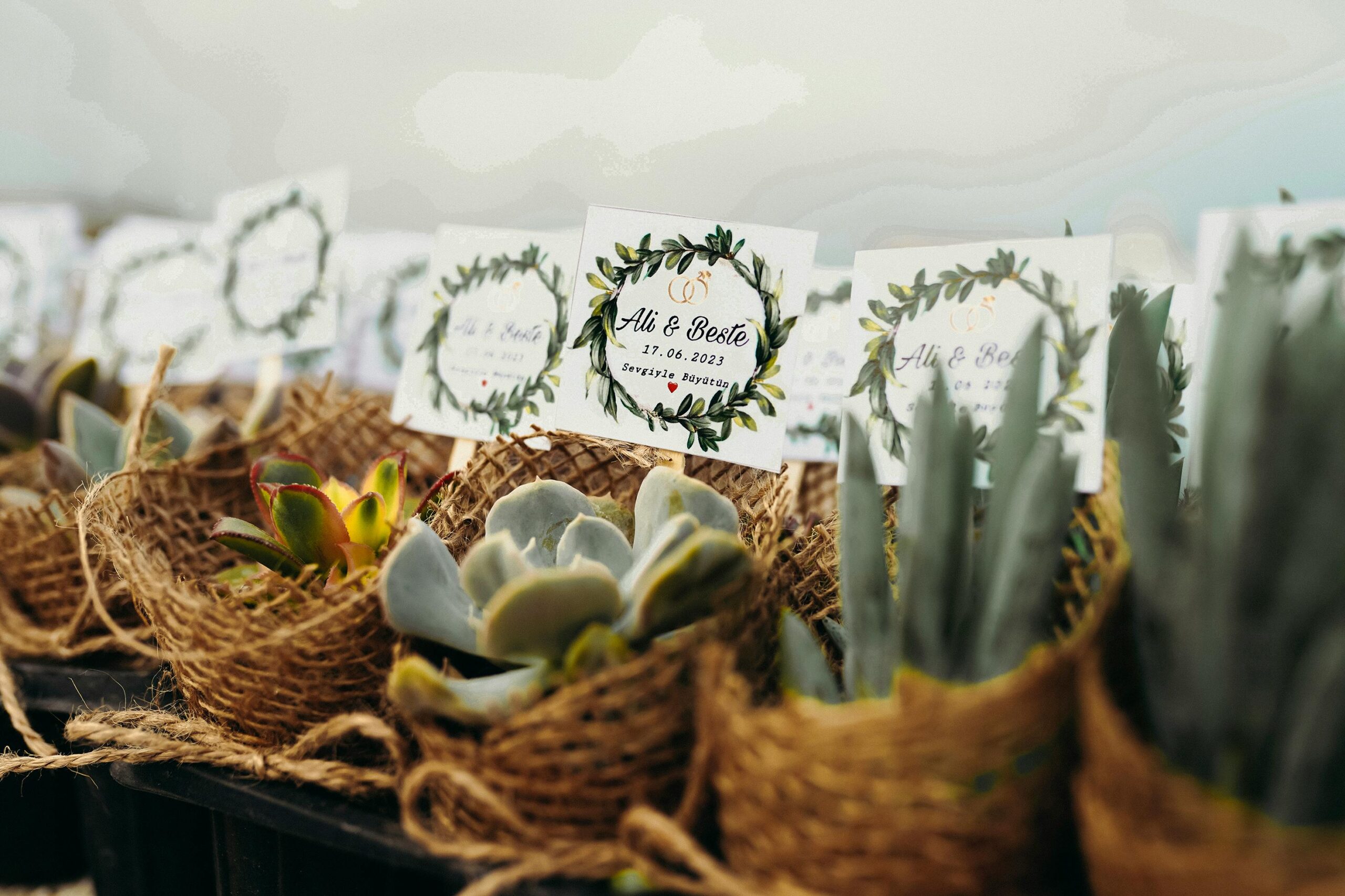 Small potted succulents wrapped in burlap with decorative cards labeled "Ali & Beste" and a date.