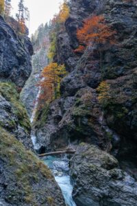 **Alt Text:** A narrow canyon with steep rocky walls, colorful autumn trees, and a small waterfall feeding a flowing stream.