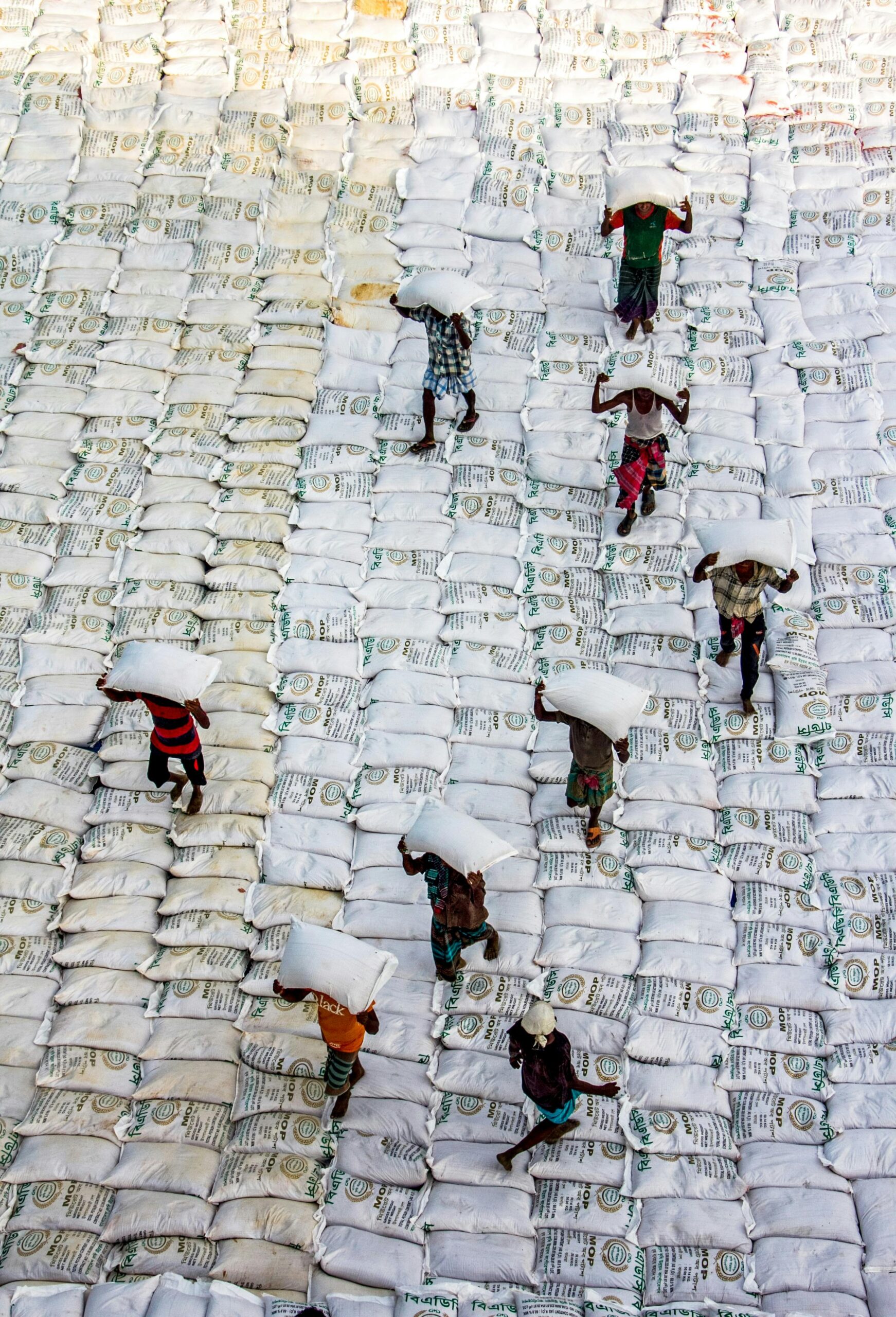 **Alt Text:** Workers carrying large sacks on their heads walk across neatly stacked rows of grain bags.