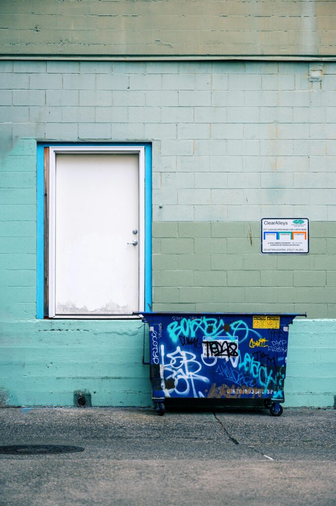 A white door with blue trim is set in a teal and green painted brick wall, beside a graffiti-covered blue dumpster.