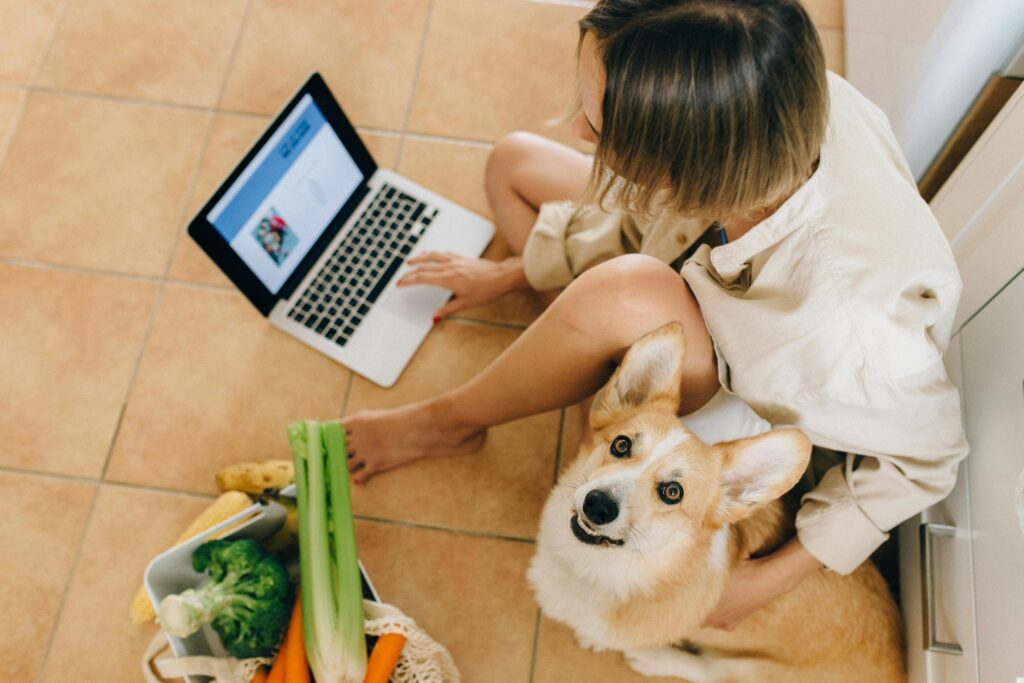 A person sits on the floor using a laptop with a corgi beside them and a basket of vegetables nearby.
