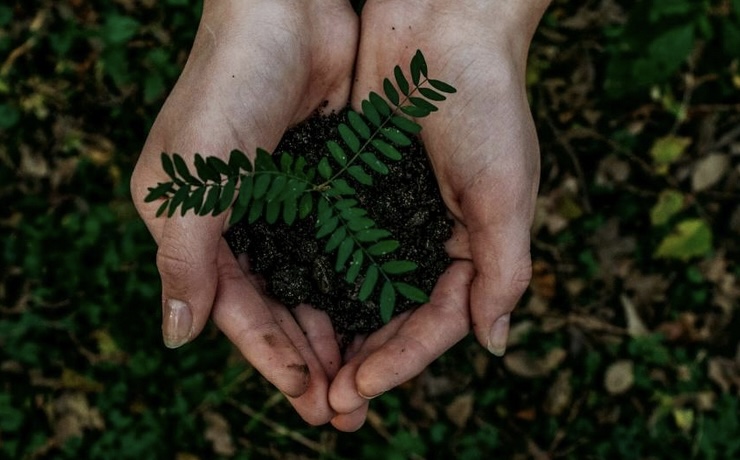 Hands gently cradling a small green plant with soil against a blurred natural background.