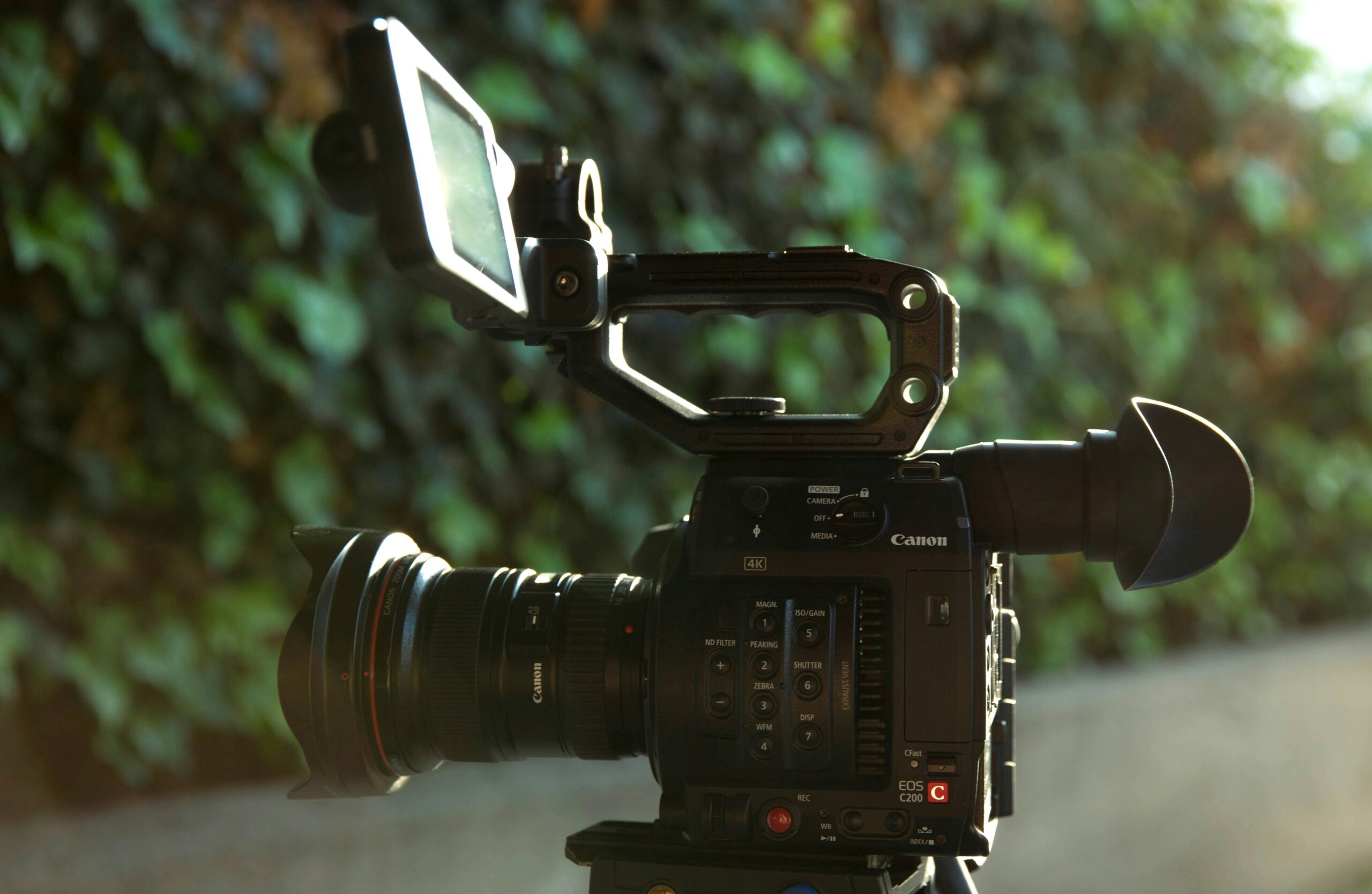 A Canon EOS C200 video camera set up outdoors with a blurred leafy background.