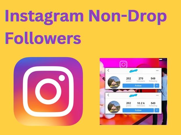 The image shows the Instagram logo next to a before-and-after comparison of Instagram follower counts, with bold text reading "Instagram Non-Drop Followers" above.