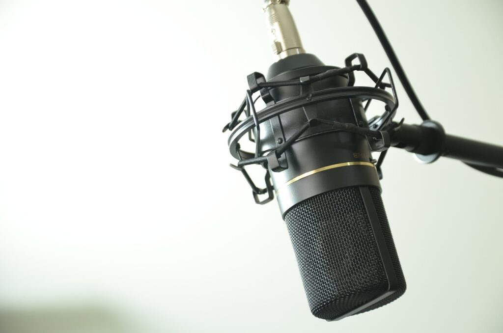 A close-up of a black condenser microphone suspended in a shock mount against a plain white background.