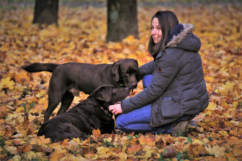 A person in a winter coat kneels on a leaf-covered ground, petting two brown dogs.