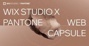 **Alt text:** An abstract beige background features the text "Wix Studio x Pantone Web Capsule" with a textured, irregular shape in the center.