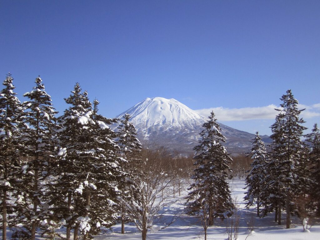 **Alt text:** Snow-covered trees in the foreground with a view of a distant snow-capped mountain under a clear blue sky.
