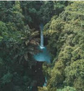 **Alt text:** Aerial view of a tall, narrow waterfall cascading into a turquoise pool surrounded by dense green foliage.