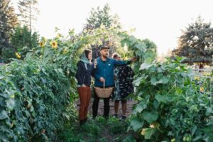 **Alt text:** Three people stand under a vine-covered arch in a garden, examining the plants and sunflowers nearby.