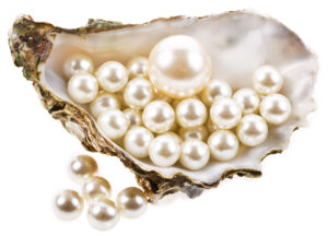 **Alt text:** A cluster of white pearls inside and spilling out of an open oyster shell.