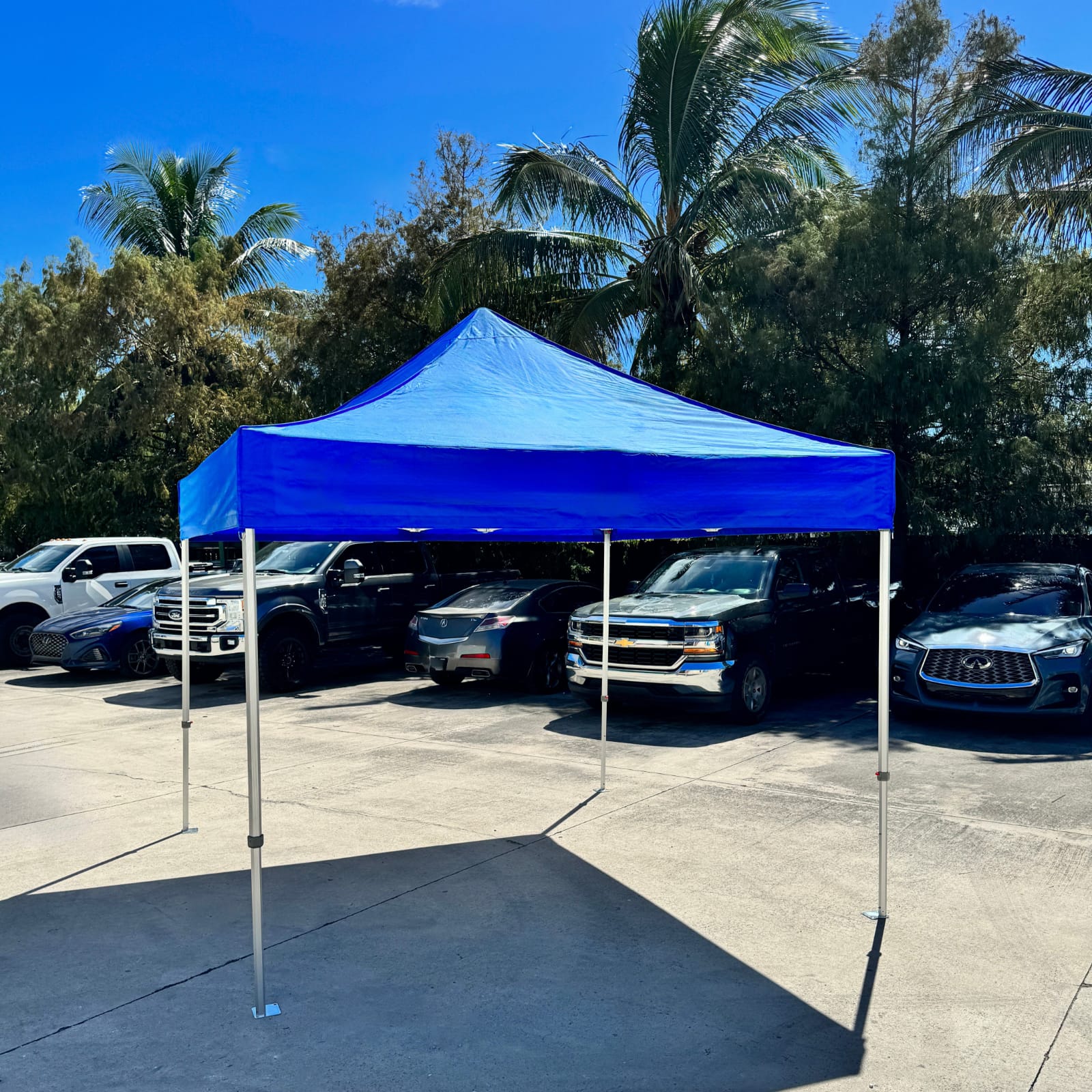 Alt text: A blue canopy tent is set up in a parking lot with several parked cars and palm trees in the background.