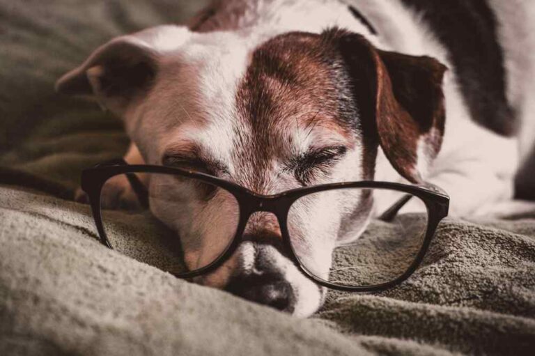 How To Revive A Dying Instagram Account
