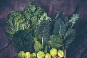 Greens Grit And The Ghosts Of The Sahara The Untold Journey Of Collard Greens